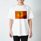 椎茸のオレンジ Regular Fit T-Shirt