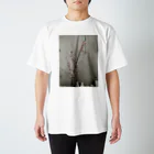 moeのあの日の桜 Regular Fit T-Shirt