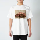 ナスの花のレッド富士山 スタンダードTシャツ