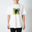 ののかの野々の小鳥 Regular Fit T-Shirt