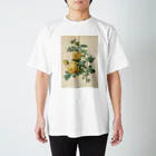 J. Jeffery Print Galleryのルドゥーテ「バラ図譜」 Regular Fit T-Shirt