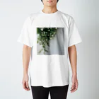 ampluieの木香薔薇 スタンダードTシャツ