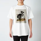 J. Jeffery Print Galleryの絶滅の鳥　ドードー スタンダードTシャツ