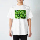 琴璃屋のジンガサゴケ Regular Fit T-Shirt