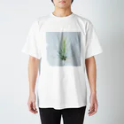 a.c.a.botanicalのTillandsia スタンダードTシャツ