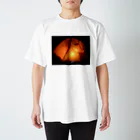 yosiのyosi's テント Regular Fit T-Shirt