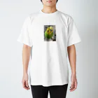 セキセイインコのきぃちゃんshopのセキセイインコ1 Regular Fit T-Shirt