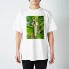 mizuphoto galleryの月桃 Regular Fit T-Shirt