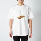 K.G.Bのネルパカ Regular Fit T-Shirt