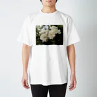 夢工房のWhite Rose Regular Fit T-Shirt