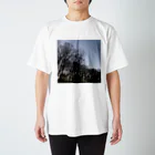 あるふぁよこ→の木立 スタンダードTシャツ