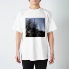 あるふぁよこ→の木立 Regular Fit T-Shirt