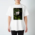 除夜の公園の花 スタンダードTシャツ