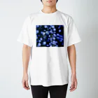 内輪パーソナルの多様性 スタンダードTシャツ