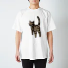 Riotoのねこけつω（キジトラ） スタンダードTシャツ