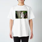 kawaii-keiのそっと様子をうかがう猫ちゃん Regular Fit T-Shirt