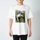 はちわれのはちわれてーしゃつ Regular Fit T-Shirt