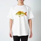 【魚類】おさかなちゃん☆図鑑の【魚類】ハマフエフキちゃん☆浜笛吹 スタンダードTシャツ