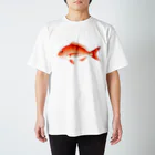 【魚類】おさかなちゃん☆図鑑の【魚類】マダイちゃん☆真鯛 Regular Fit T-Shirt