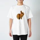 スマイリーニコのスマイリーニコ Regular Fit T-Shirt