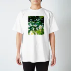 akane_art（茜音工房）の癒しの風景（シャスタデイジー） Regular Fit T-Shirt