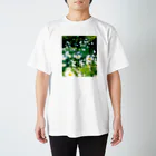 akane_art（茜音工房）の癒しの風景（シャスタデイジー） スタンダードTシャツ