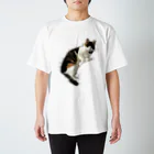 とある三匹の猫のねむる猫 Regular Fit T-Shirt