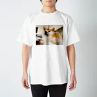 笛ガムのむっちり犬 Regular Fit T-Shirt