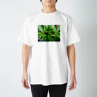 焚麻🇨🇦大麻起業家を目指すパパ大学生のテスト スタンダードTシャツ