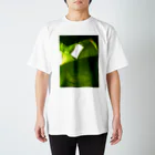 緑 (エニシ)の緑1号 Regular Fit T-Shirt