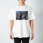 愛自然写真の桜と空 Regular Fit T-Shirt