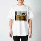 ほっかむねこ屋（アトリエほっかむ）のそよの箱に入るこち Regular Fit T-Shirt