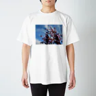 愛自然写真の桜と空と雲 スタンダードTシャツ