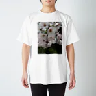 ymの桜 Regular Fit T-Shirt