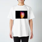 myopia hyperopiaのりんご Regular Fit T-Shirt