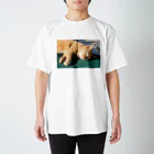 AI生成画像・風景・小物の写真をグッズにしてみましたのおやすみ中のにゃんこ スタンダードTシャツ