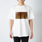 吾妻のぶりーちくん Regular Fit T-Shirt