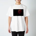 kenのはなび Regular Fit T-Shirt