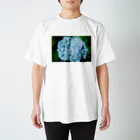 guu.の四葩 Regular Fit T-Shirt