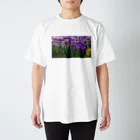 ももたんのスイセン Regular Fit T-Shirt
