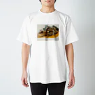 sakasakasakaのピーターズバンディッドスキンク  Regular Fit T-Shirt