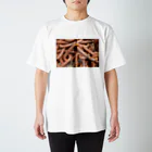 グラミーのさびた鎖の写真 Regular Fit T-Shirt