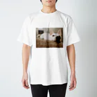 KobushiWorldのKobushiStyleTシャツ Regular Fit T-Shirt
