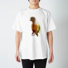 キム子商店のクイル_01（ウロコインコ） Regular Fit T-Shirt