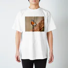 CHICHI&CAMERAのニシオジロビタキ スタンダードTシャツ