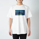 KWC(ケーダボシー)のLTA スタンダードTシャツ