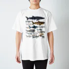 母アパレルの鮫シリーズ Regular Fit T-Shirt