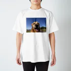 犬のあんさん スタンダードTシャツ