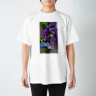 ももたんの紫陽花 スタンダードTシャツ