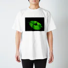 GreenTrexのセミシルエット スタンダードTシャツ